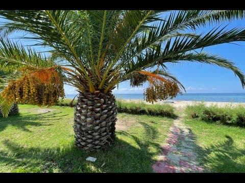 Villa Kalipso video