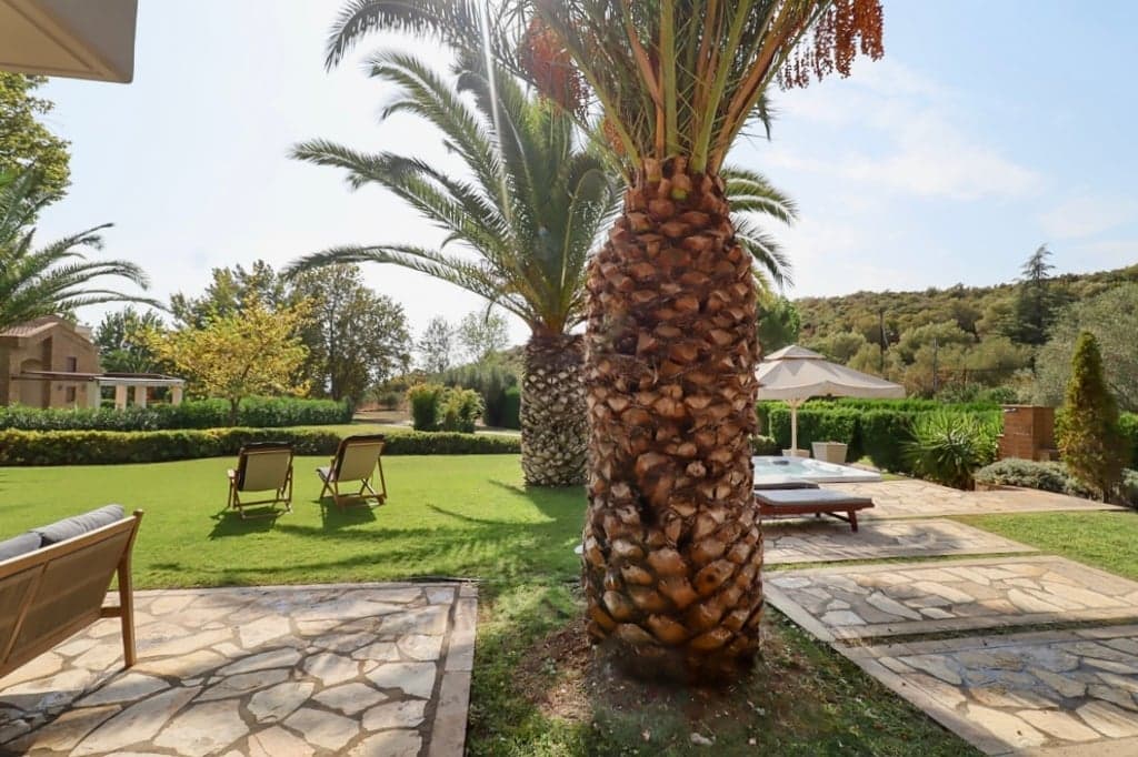 Villa Spa Elina, Agia Kiriaki – photo 15 of 50