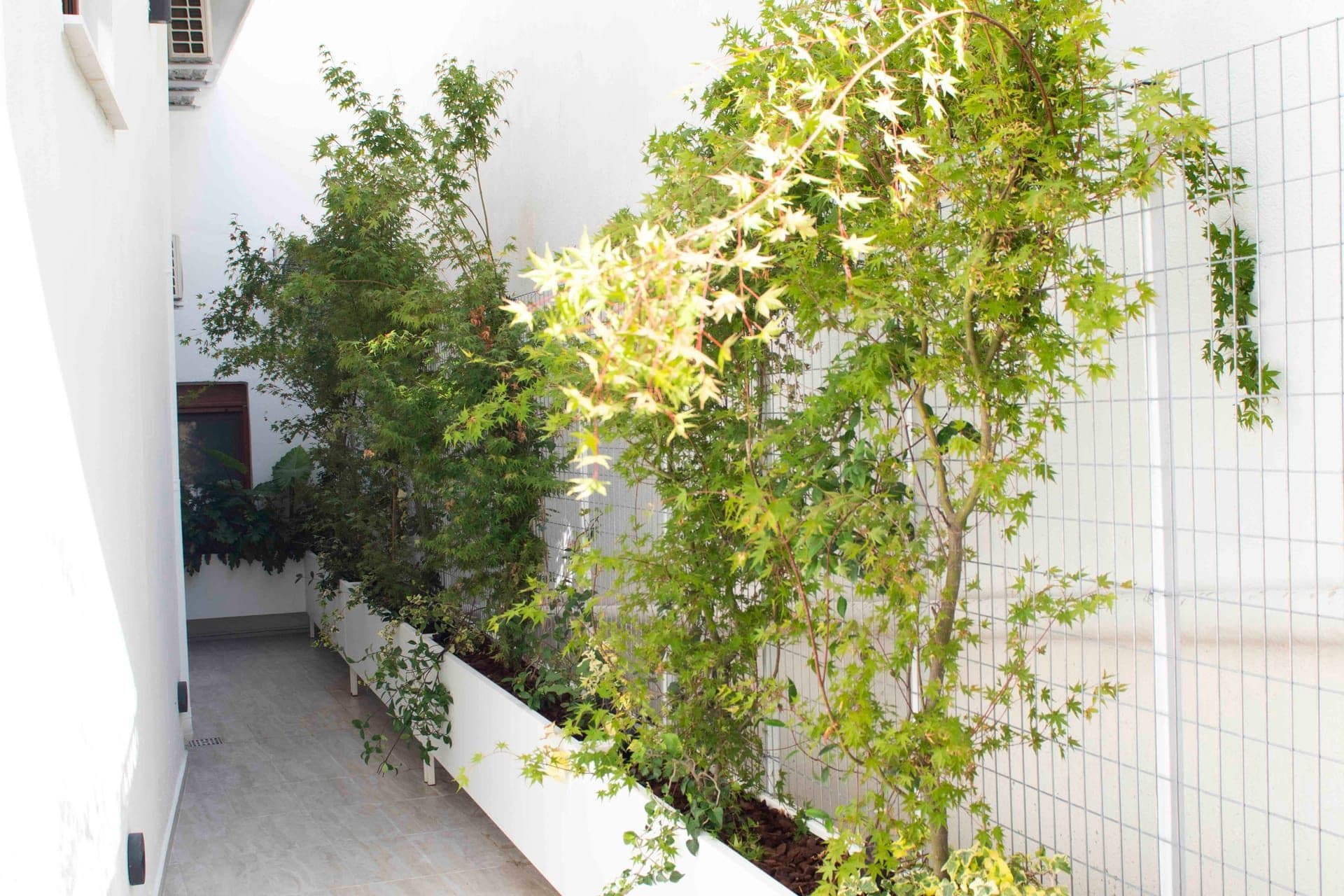 Studio Residence, Pefkochori – photo 10 of 10
