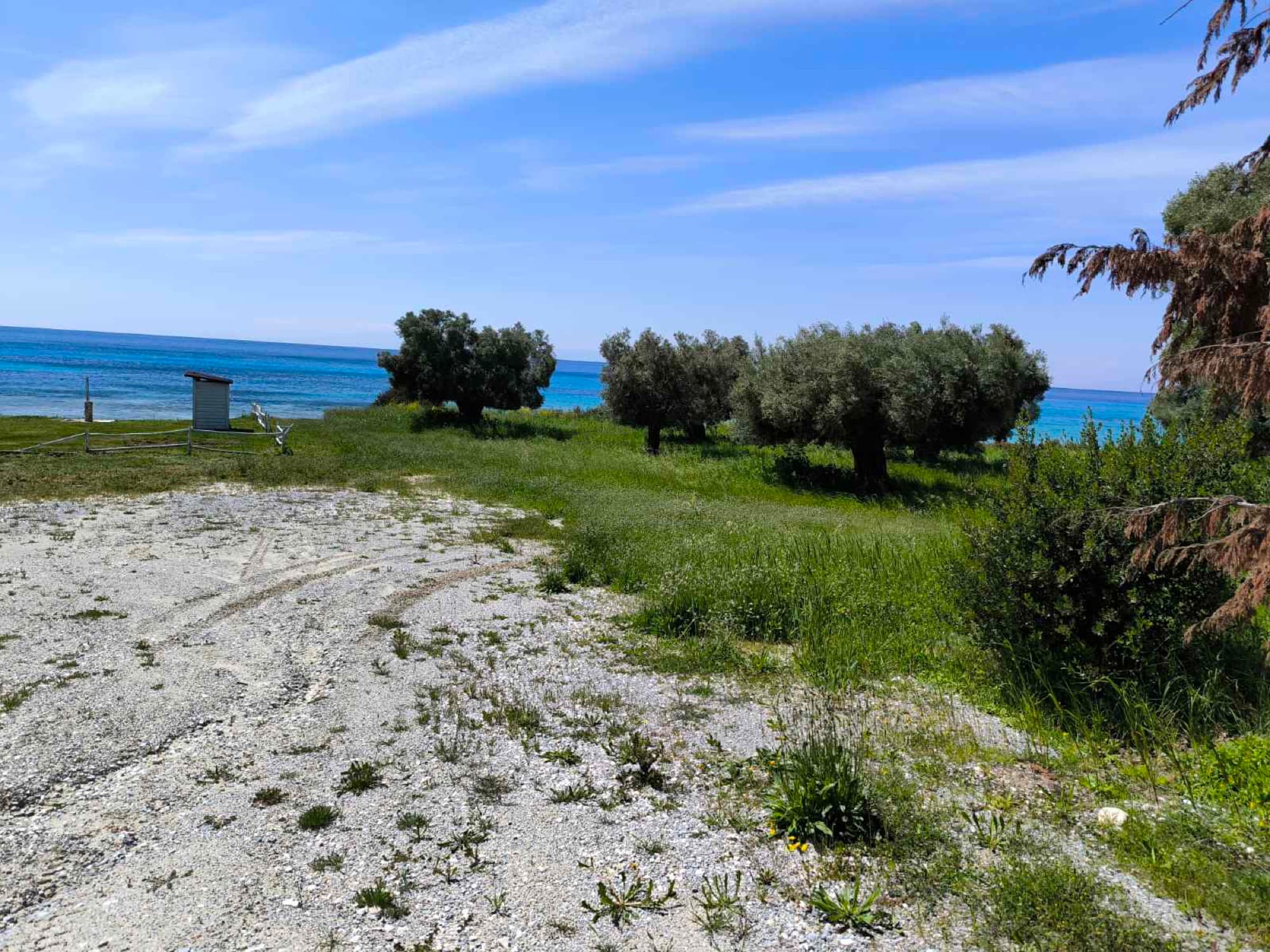 Two Adjacent Plots, 9,000 m², for Sale in Kassandra, Halkidiki, Mola Kalyva – photo 3 of 5