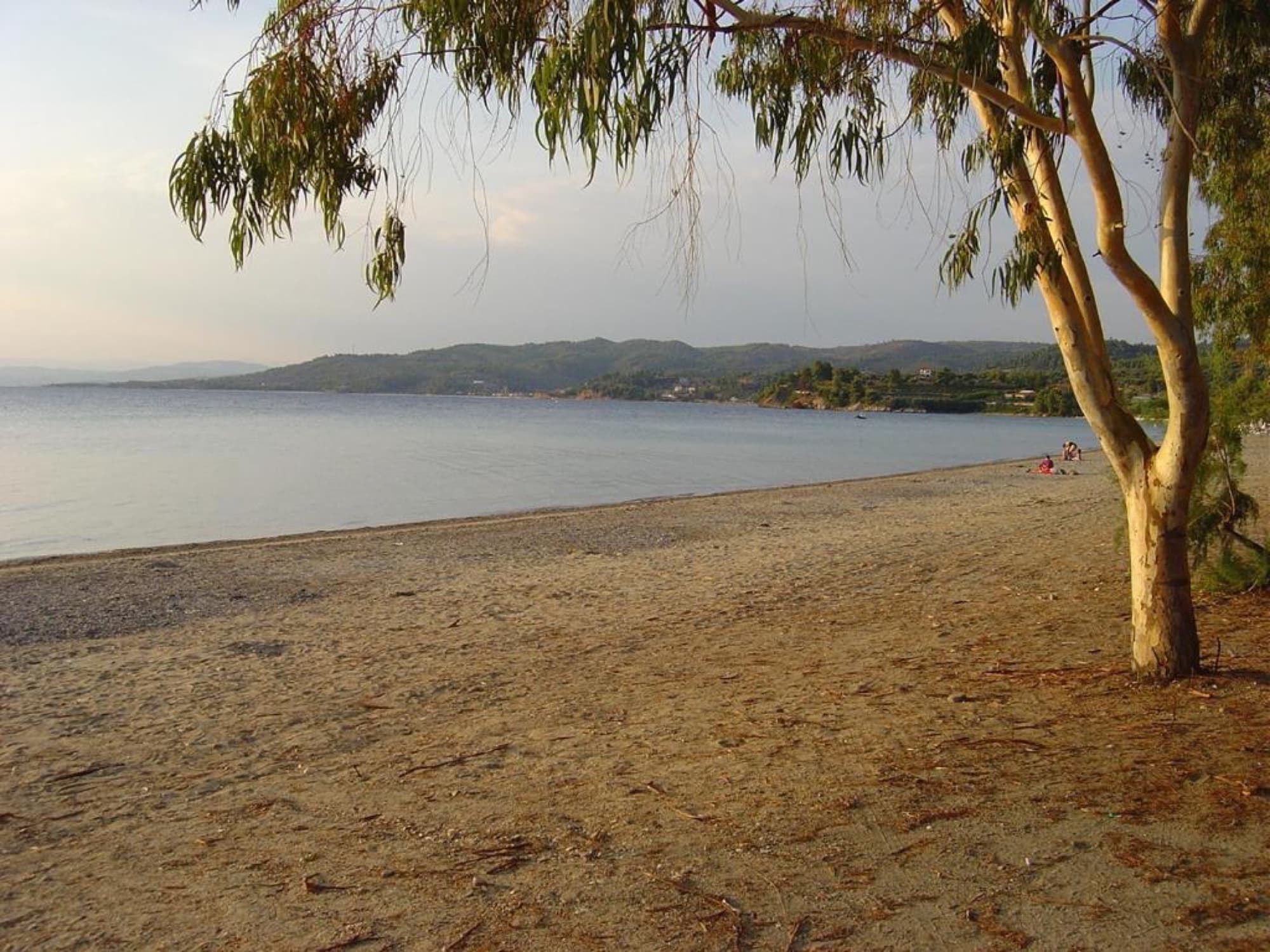 26-Room Hotel for Sale in Sithonia, Halkidiki - 1,265 m², Paradisos – photo 6 of 18