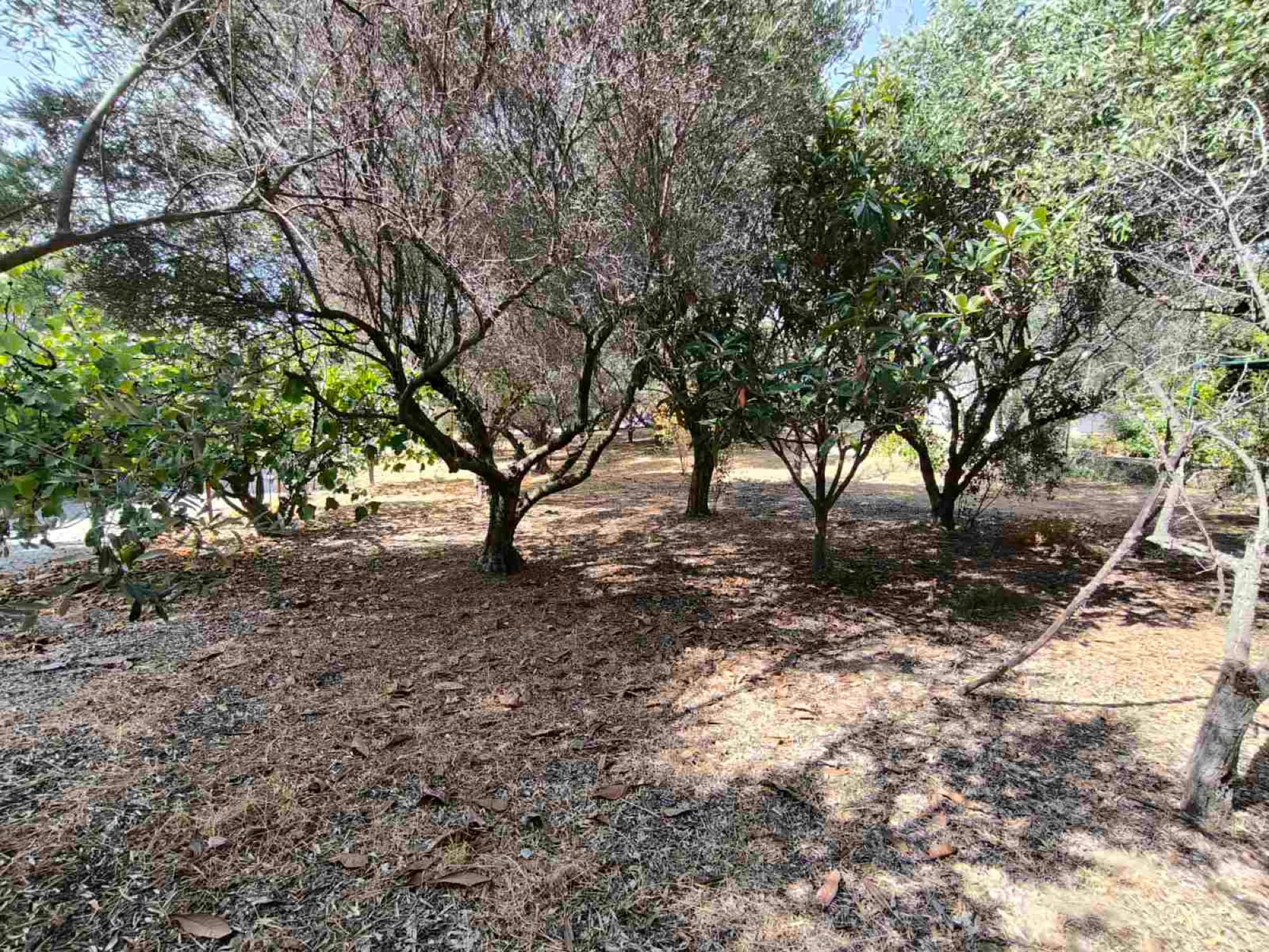480 m² Residential Building Plot for Sale in Kallikrateia, Halkidiki, Nea Irakleia – photo 7 of 17
