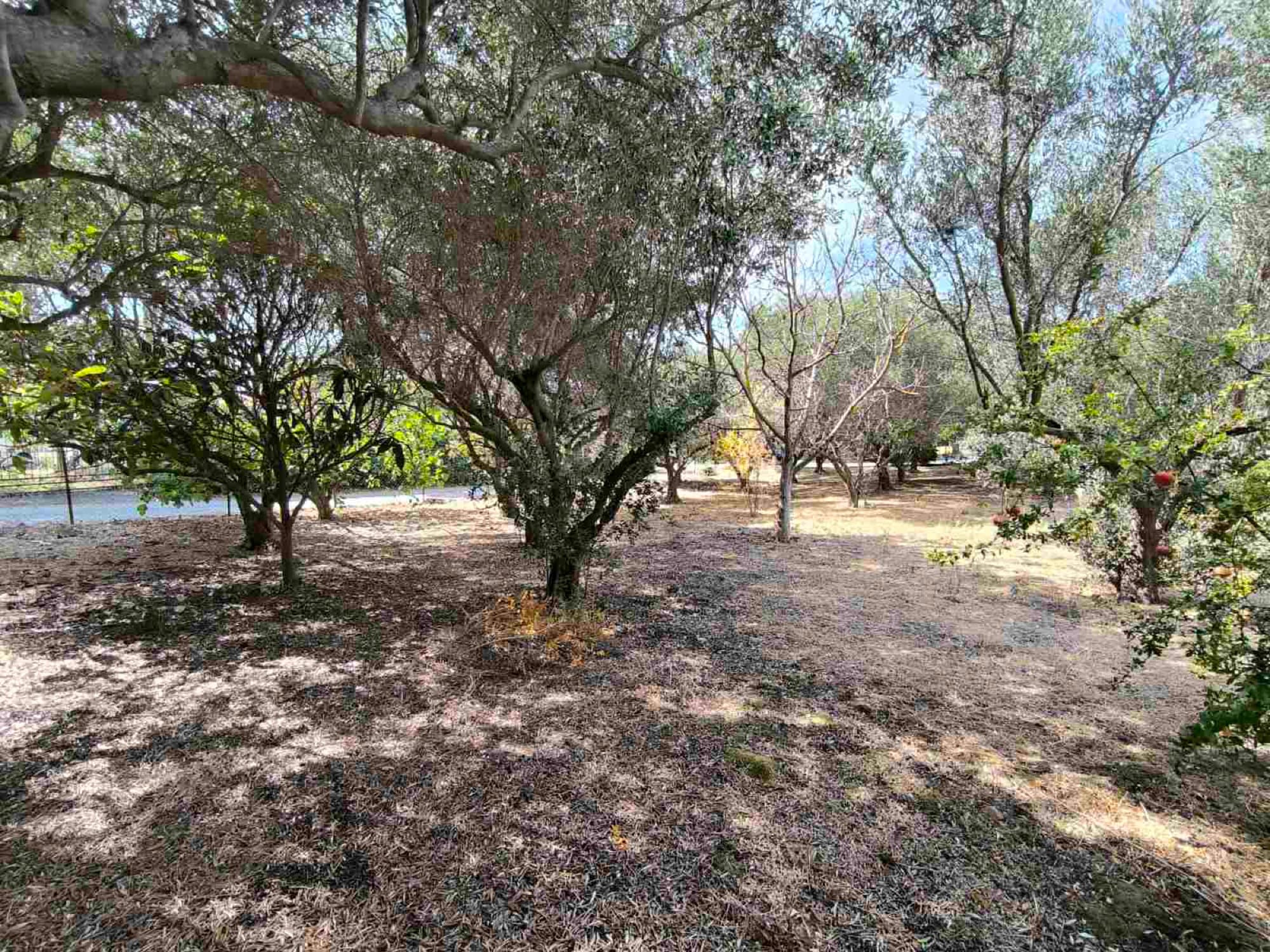 480 m² Residential Building Plot for Sale in Kallikrateia, Halkidiki, Nea Irakleia – photo 9 of 17
