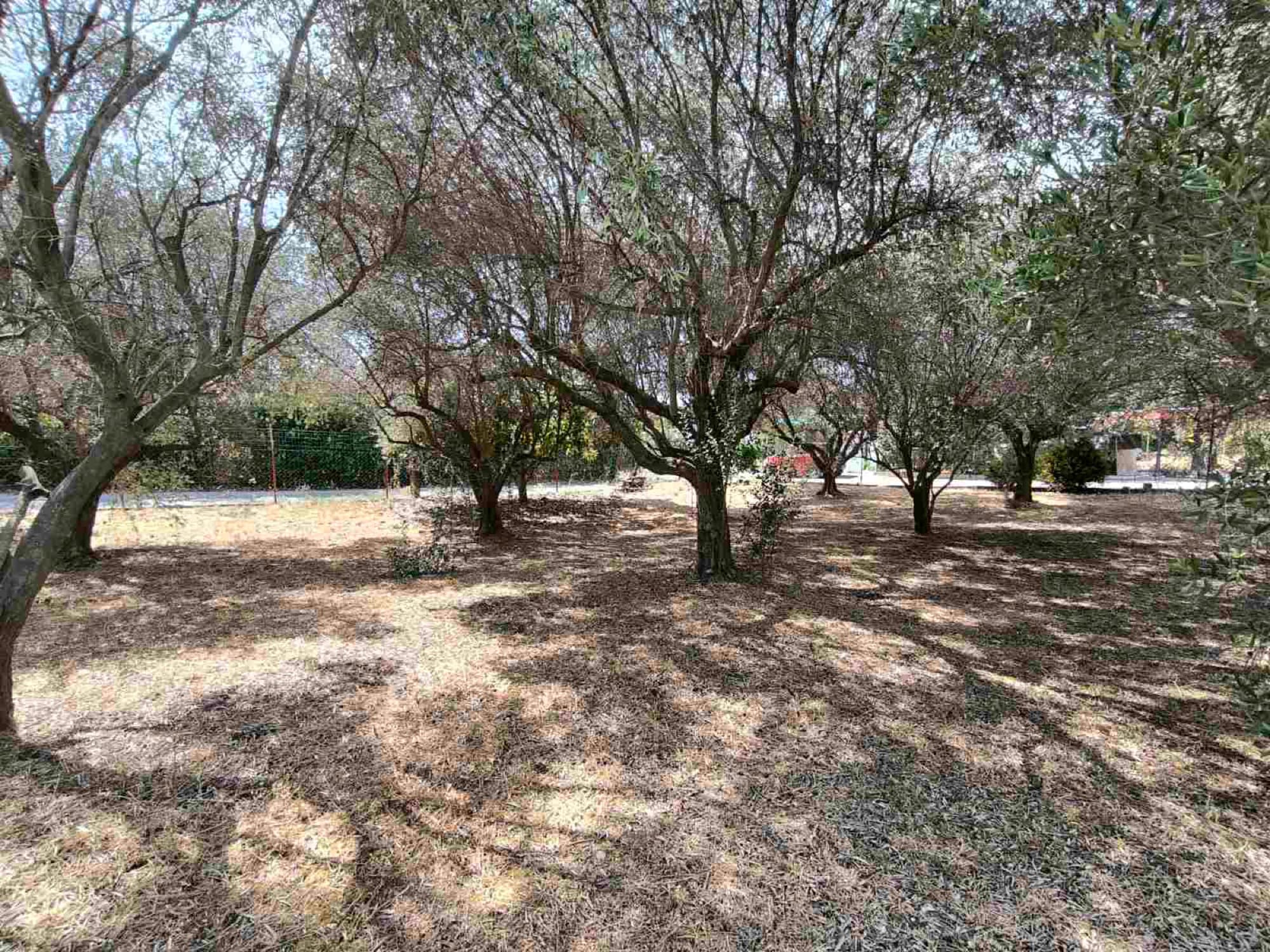 480 m² Residential Building Plot for Sale in Kallikrateia, Halkidiki, Nea Irakleia – photo 8 of 17