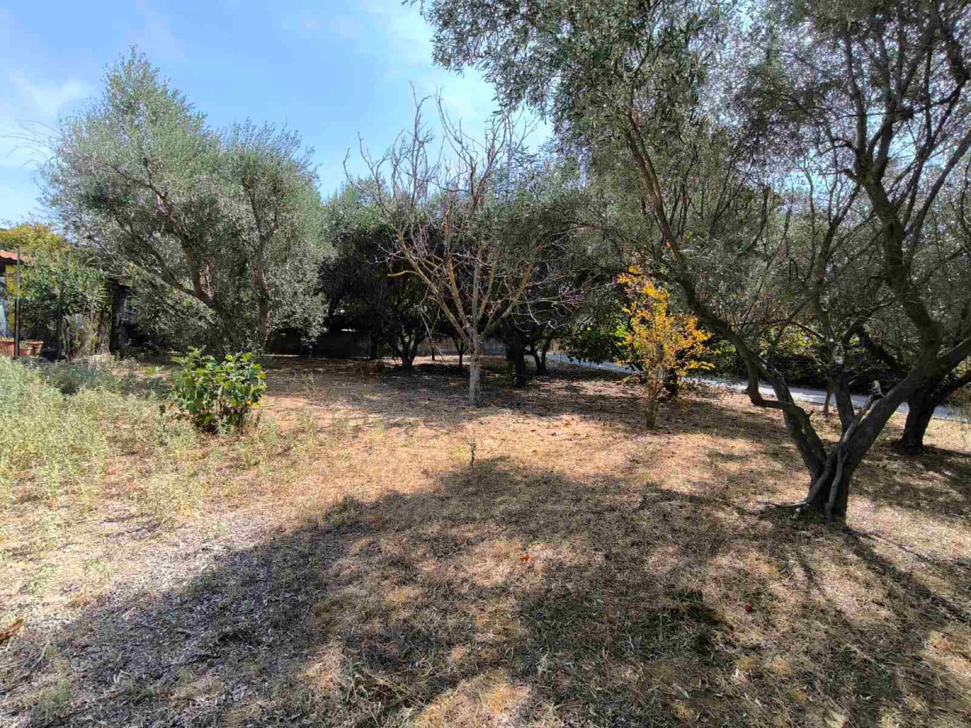 480 m² Residential Building Plot for Sale in Kallikrateia, Halkidiki, Nea Irakleia – photo 10 of 17