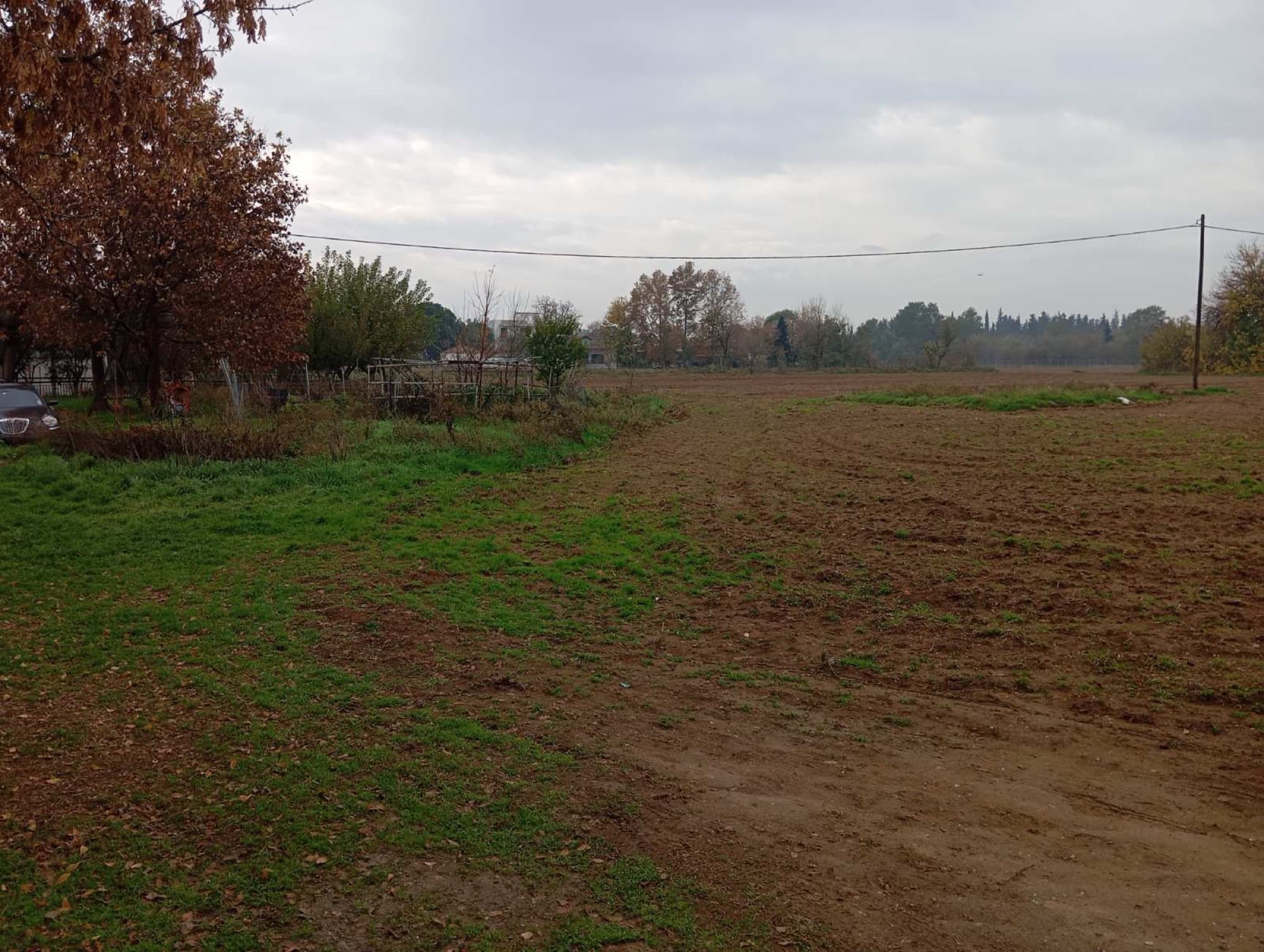 9,500 m² Residential Plot for Sale in Sindos, Thessaloniki, Sindos – photo 4 of 4