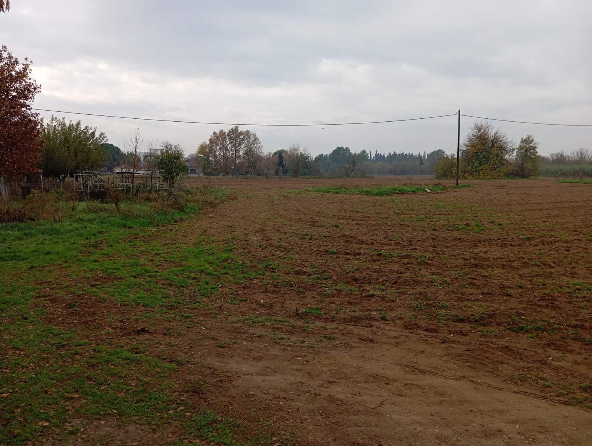 9,500 m² Residential Plot for Sale in Sindos, Thessaloniki, Sindos – photo 3 of 4