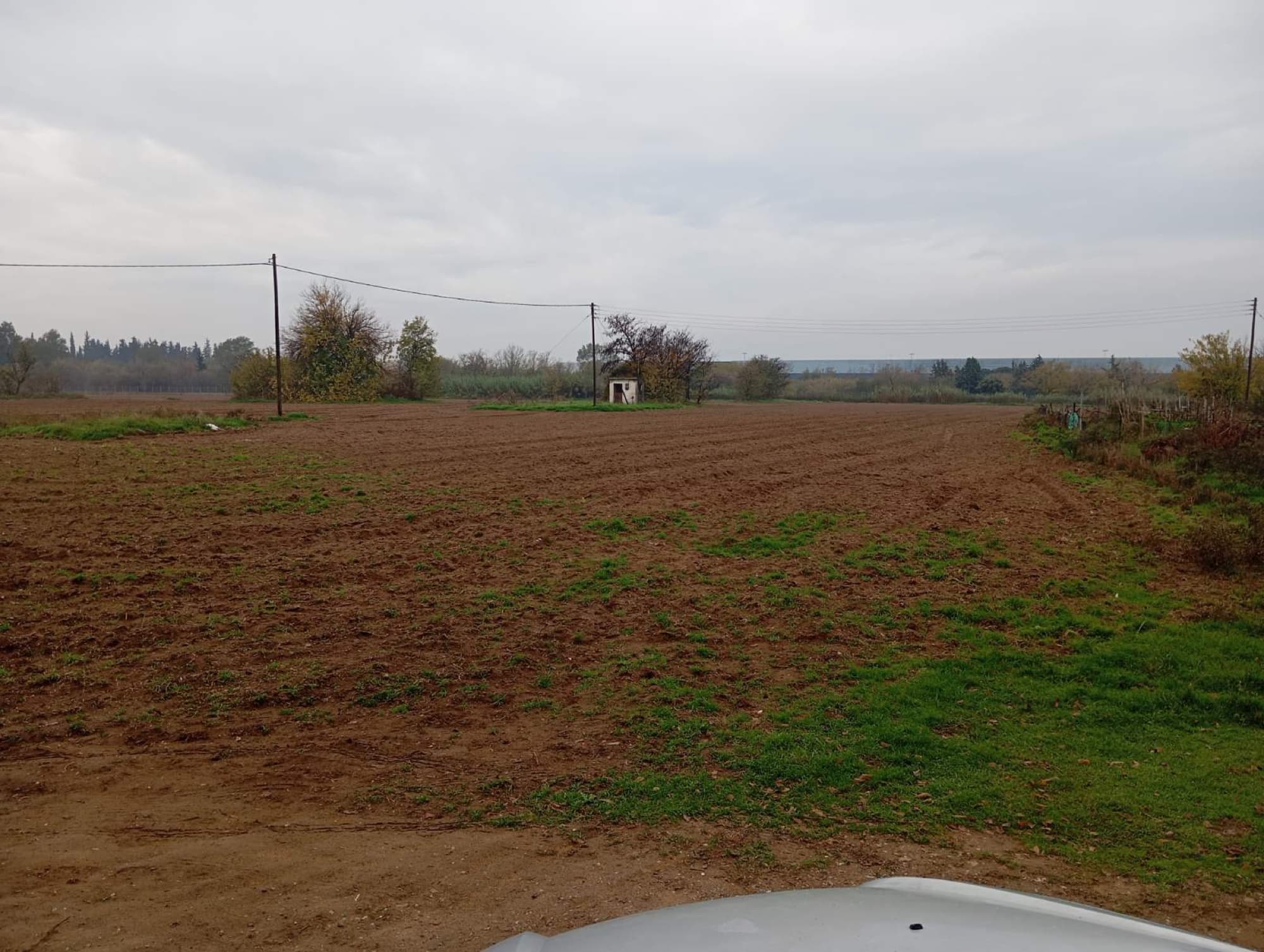 9,500 m² Residential Plot for Sale in Sindos, Thessaloniki, Sindos – photo 2 of 4