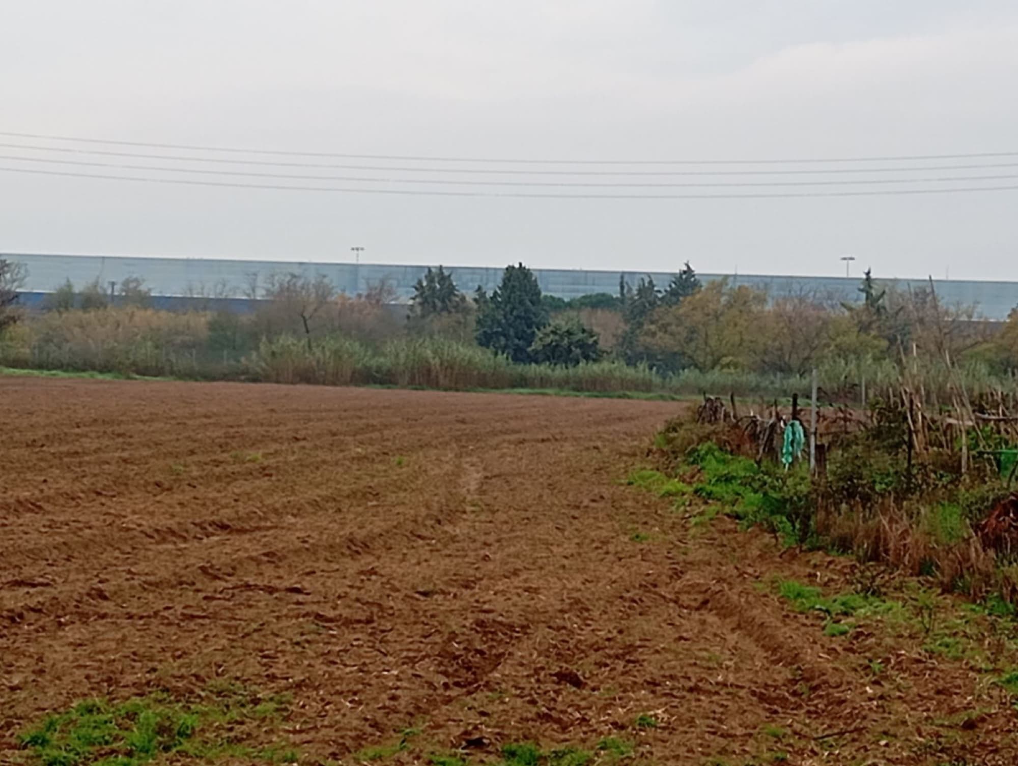 9,500 m² Residential Plot for Sale in Sindos, Thessaloniki, Sindos – photo 1 of 4