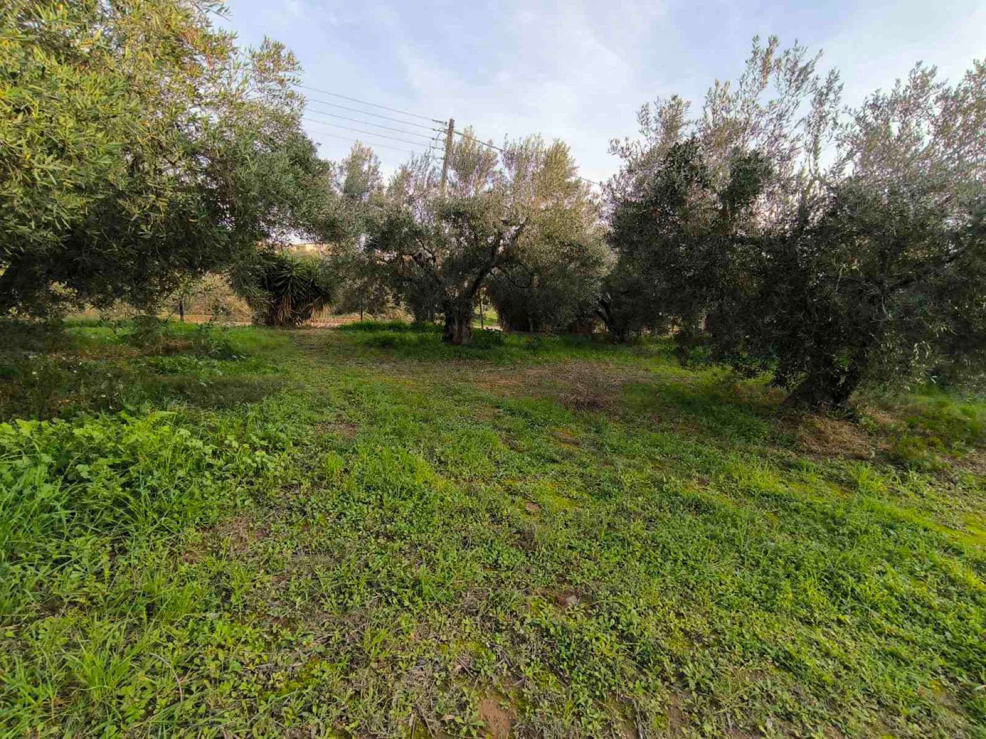 2,220 m² Buildable Corner Plot for Sale in Kalyves, Halkidiki, Kalyves Polygyrou – photo 4 of 6