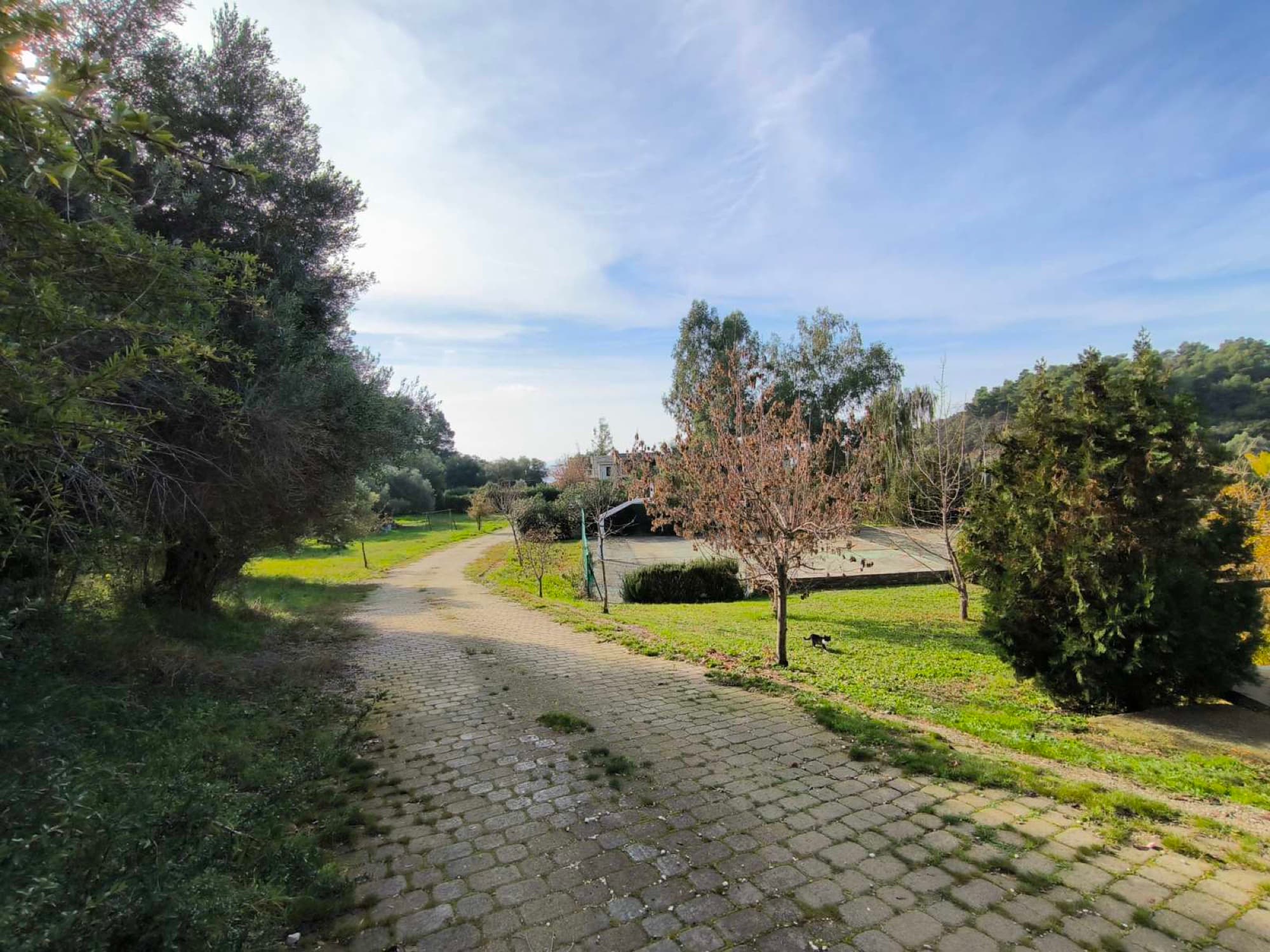 Four-Bedroom Seafront Maisonette for Sale in Sithonia, Halkidiki, Agia Kiriaki – photo 17 of 40
