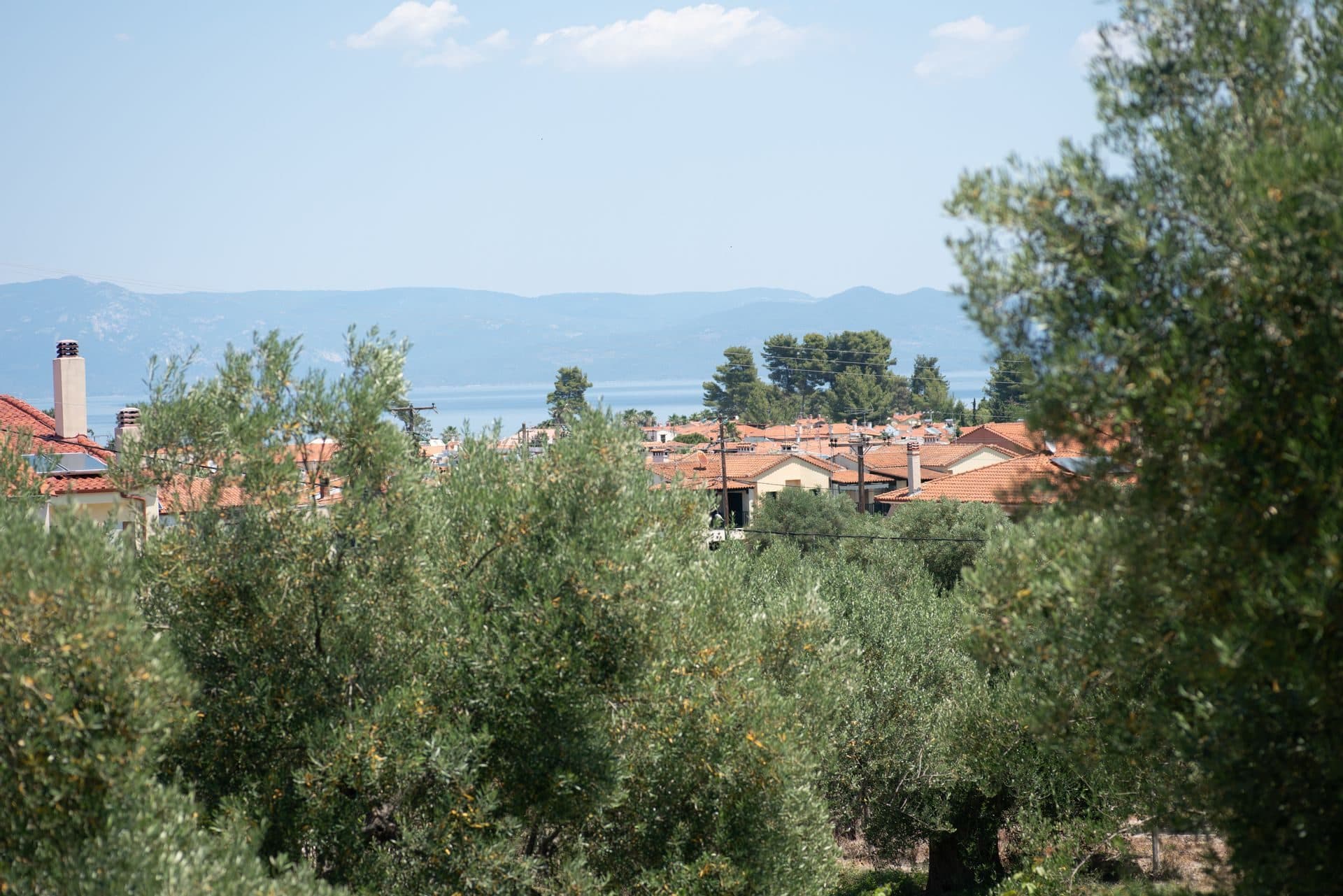 Valery Apartments Pefkohori, Pefkochori – photo 18 of 66