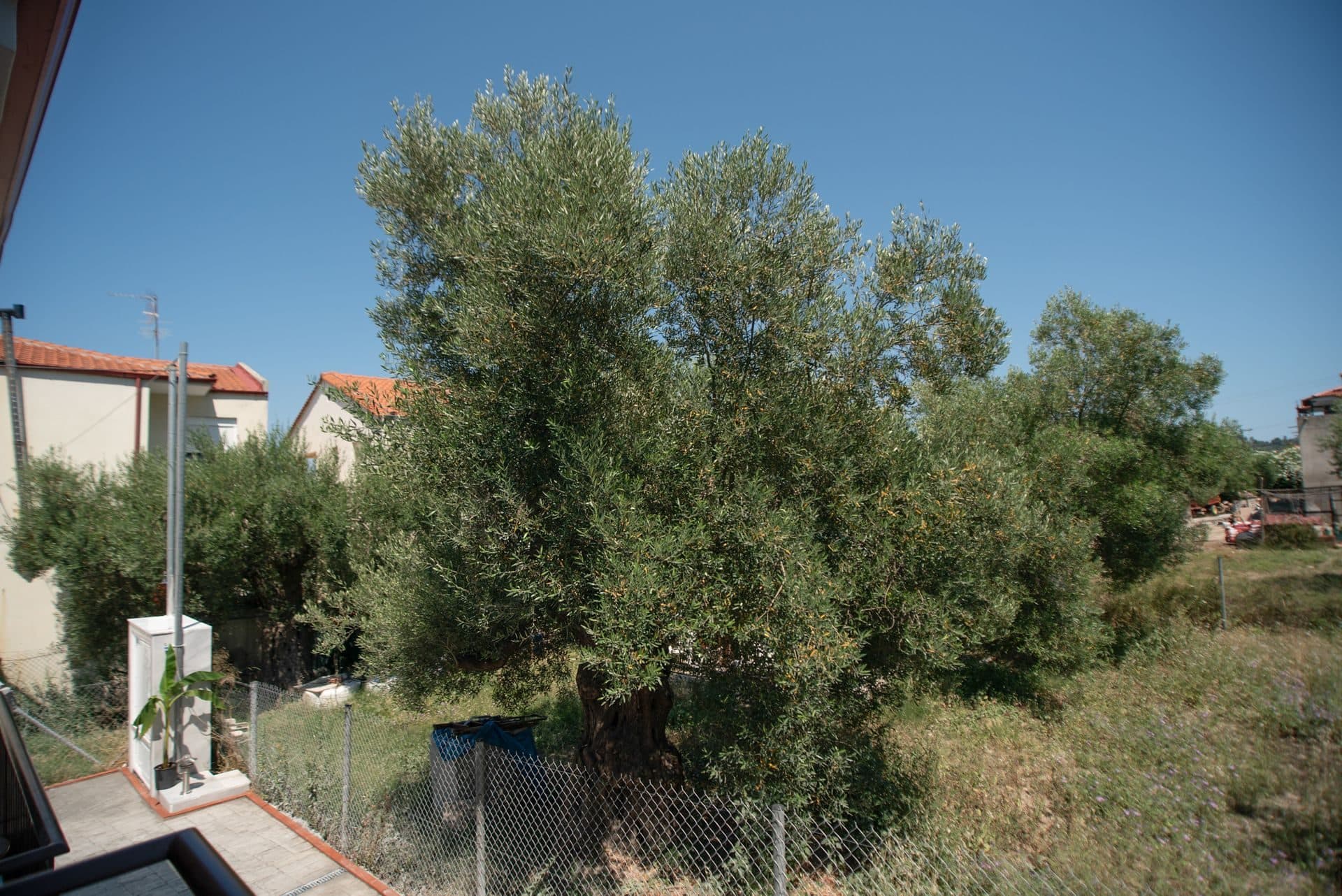 Maisonette Apartment (I), Pefkochori – photo 10 of 32