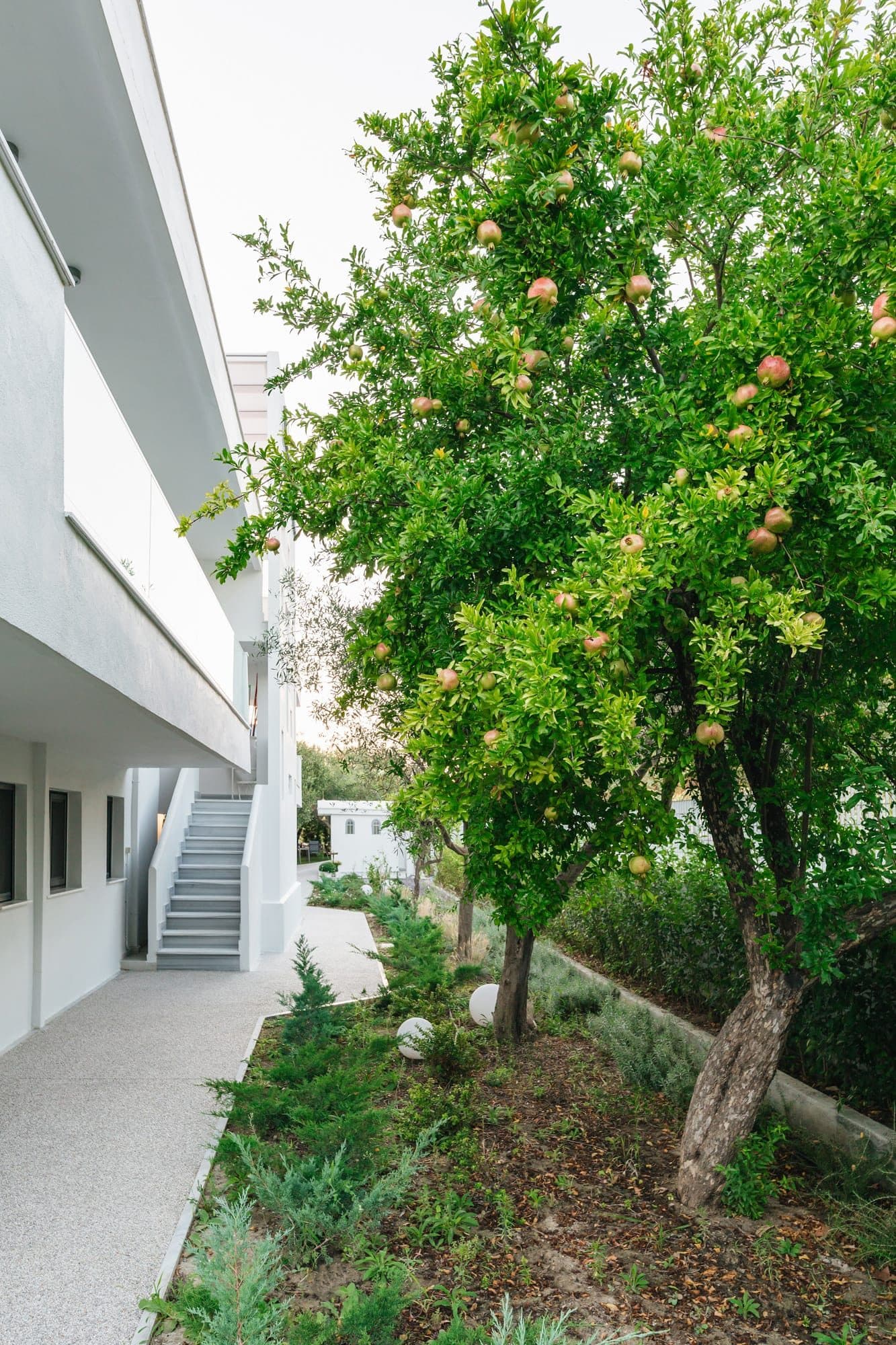 Mariya Art Living Halkidiki, Nea Skioni – photo 44 of 53