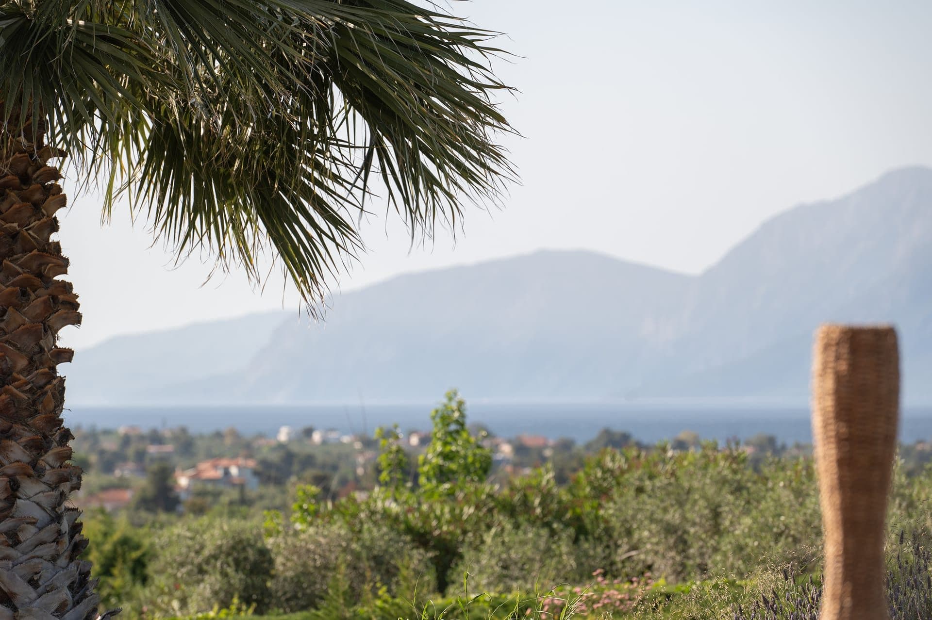 3 Palm Villa, Xirovrisi – photo 34 of 72