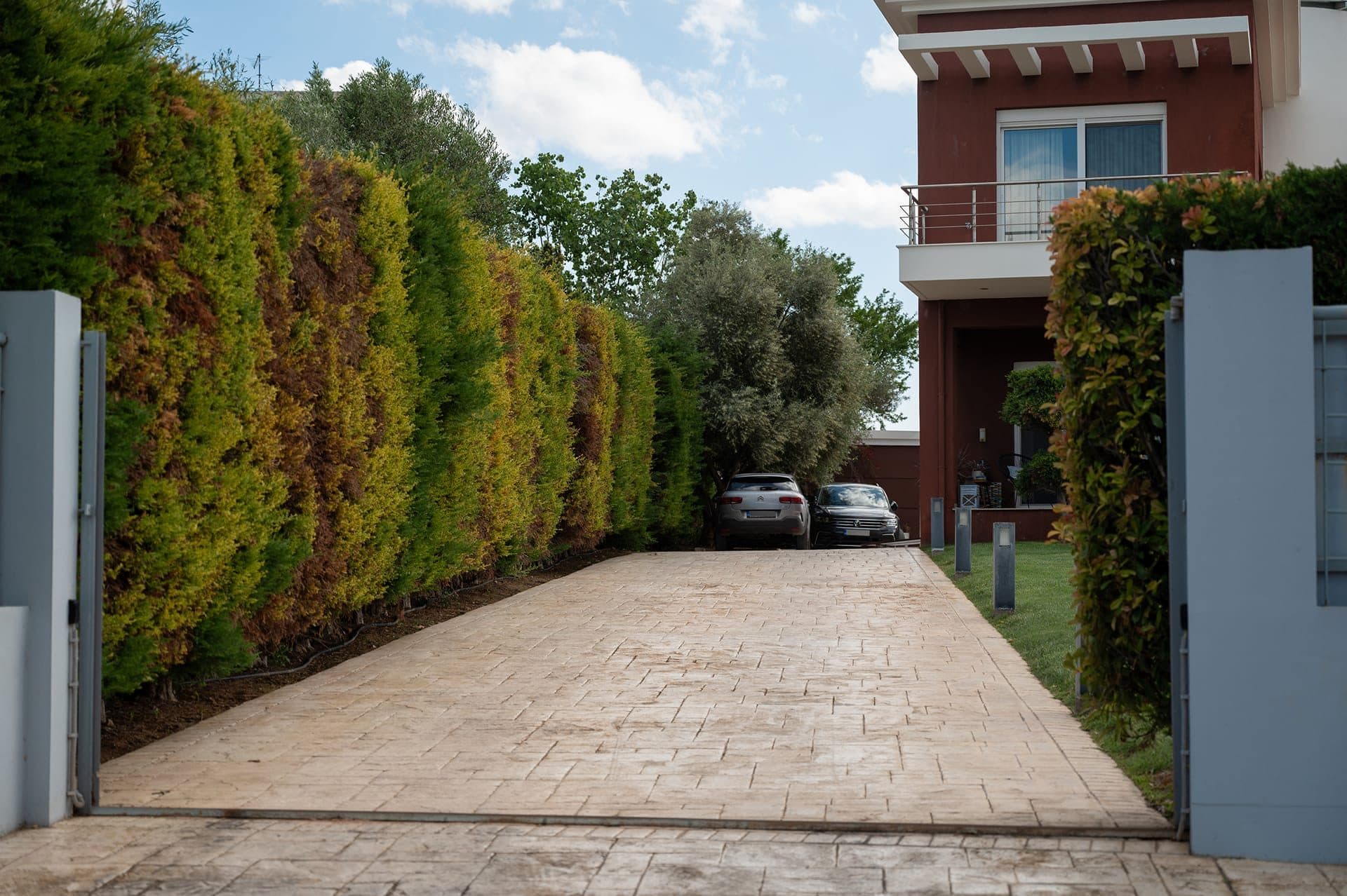 3 Palm Villa, Xirovrisi – photo 33 of 72