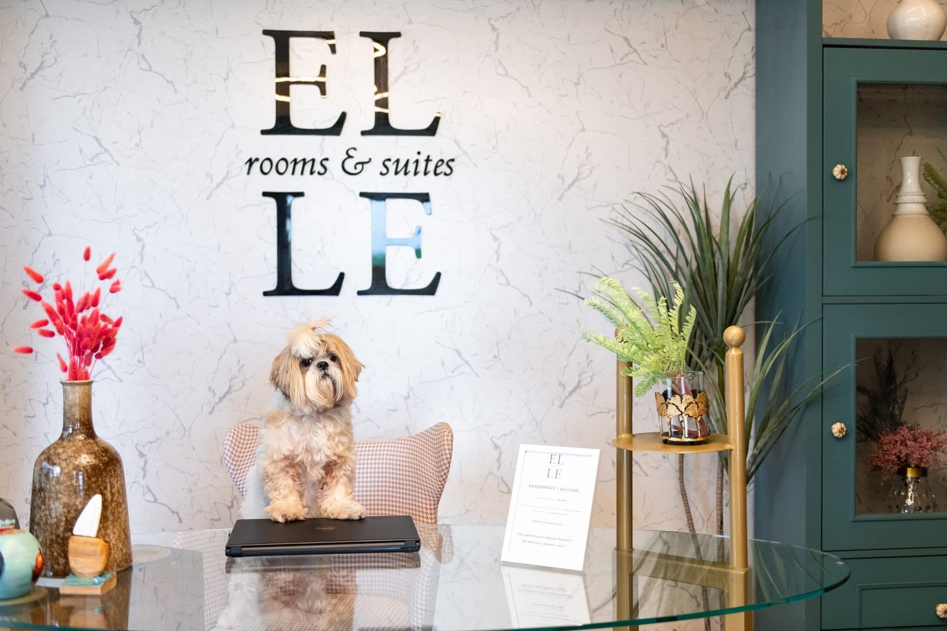 ELLE Rooms & Suites, Paralia – photo 8 of 42
