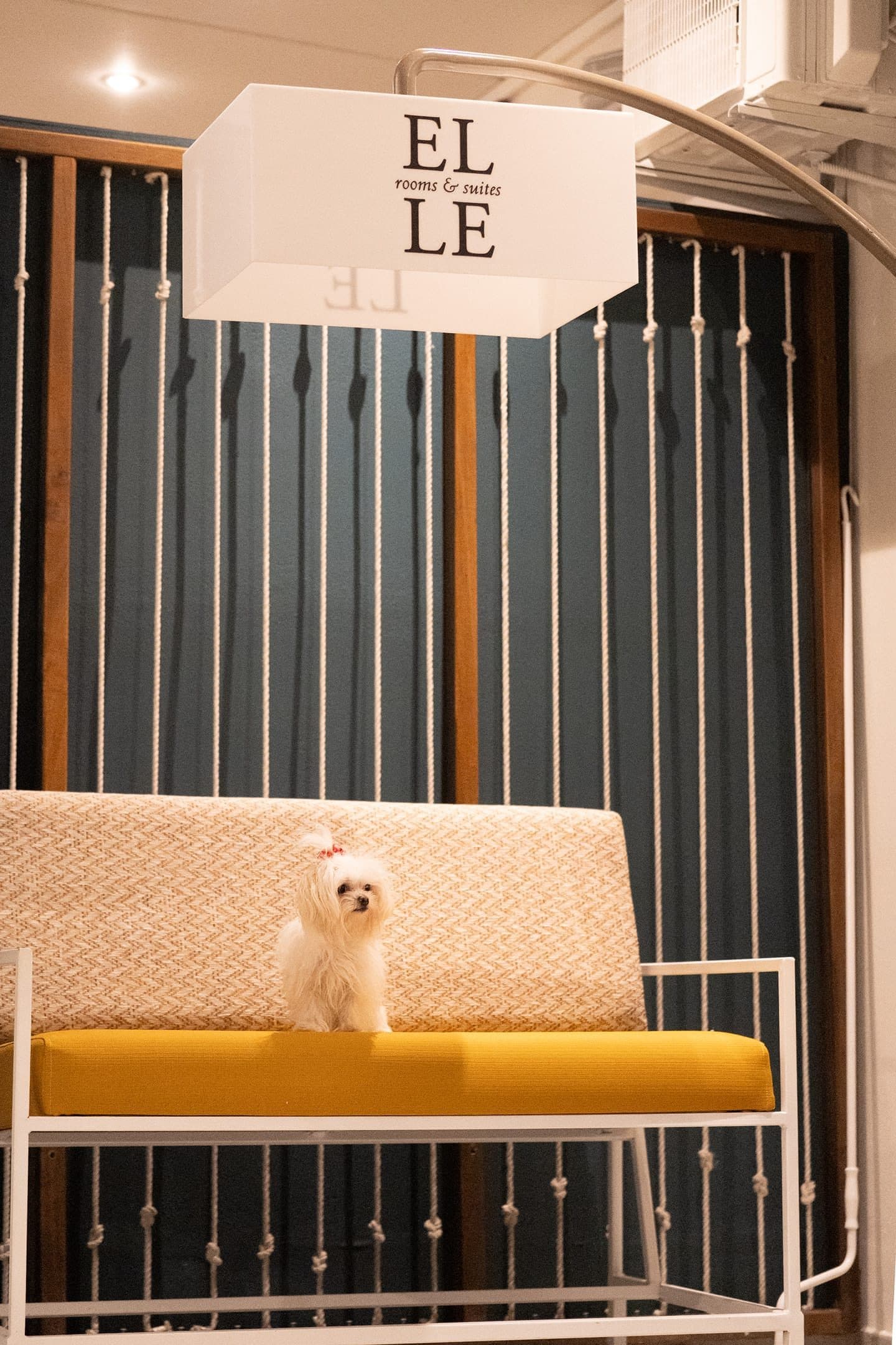 ELLE Rooms & Suites, Paralia – photo 25 of 42