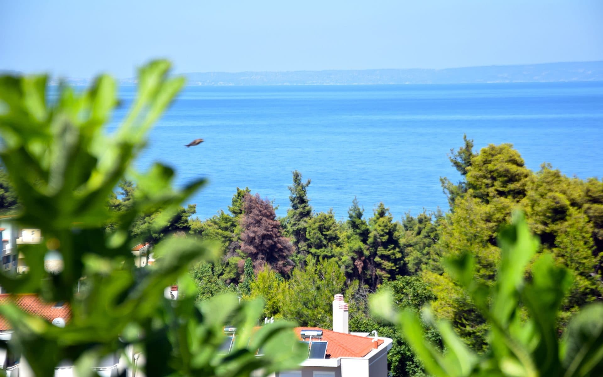 Kriopigi Halkidiki Studios, Kriopighi – photo 9 of 13