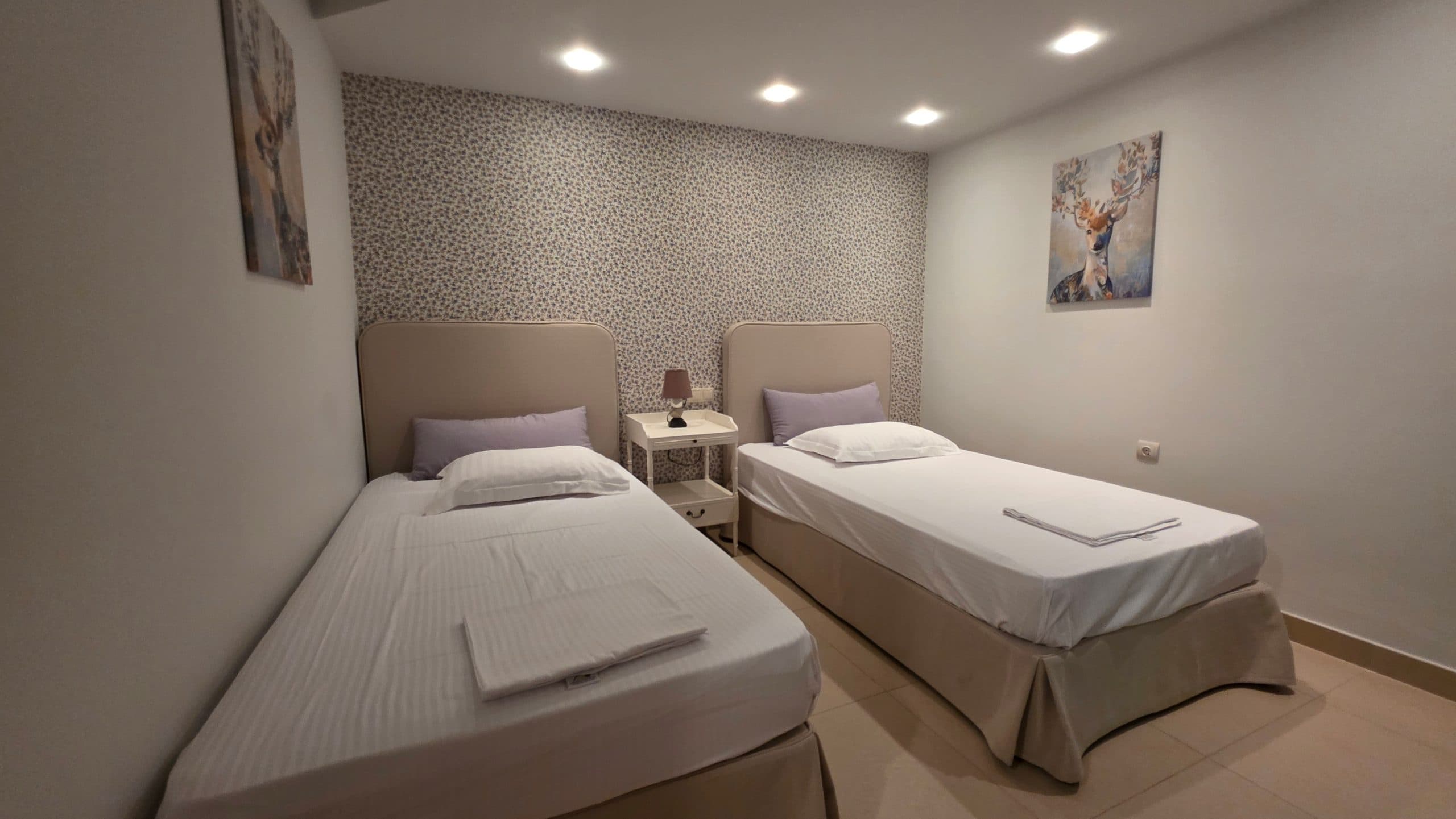 Executive Villa Diana, Σάνη – photo 43 of 64