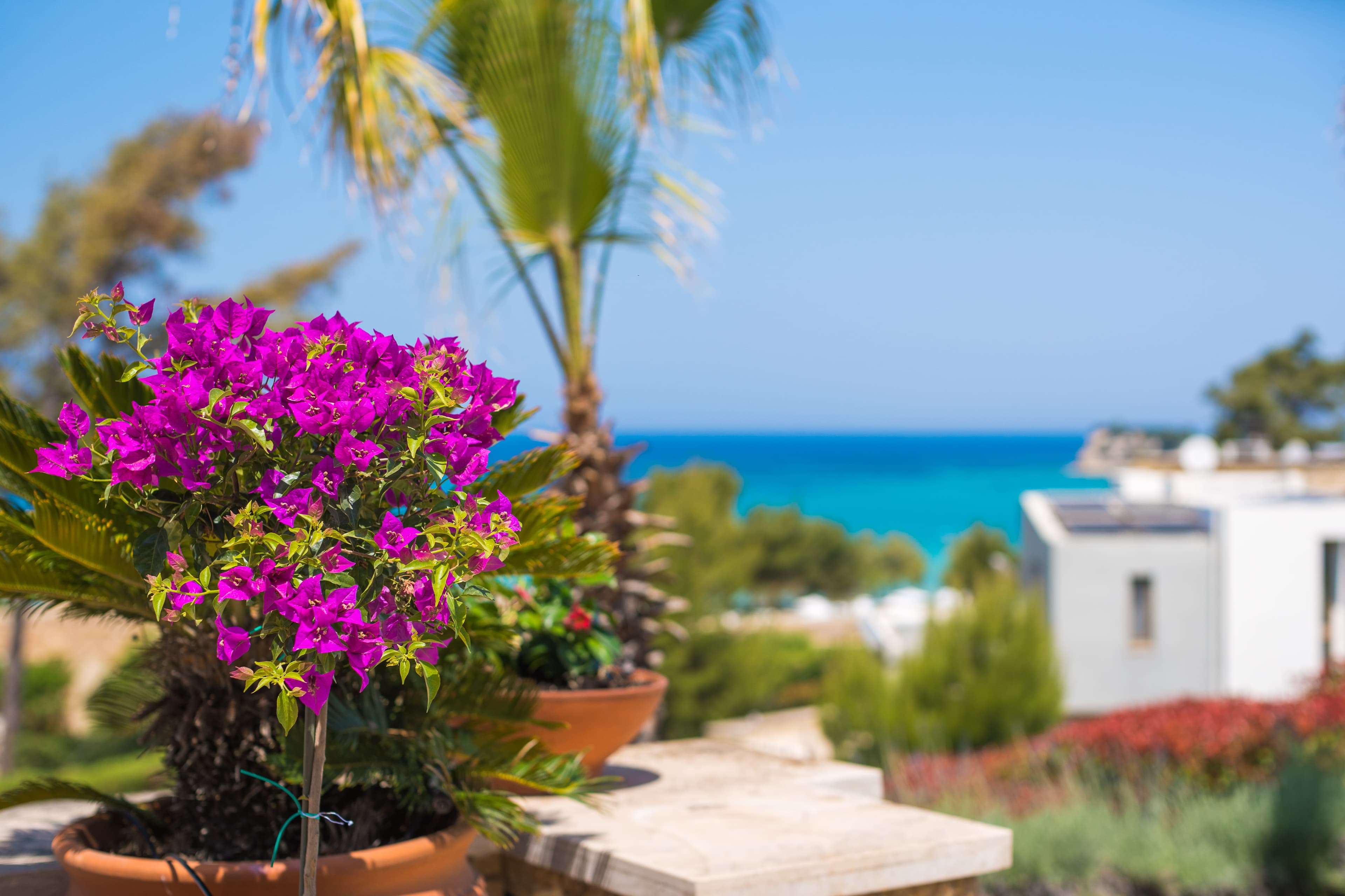 Executive Villa Emmanouela, Sane – photo 23 of 34