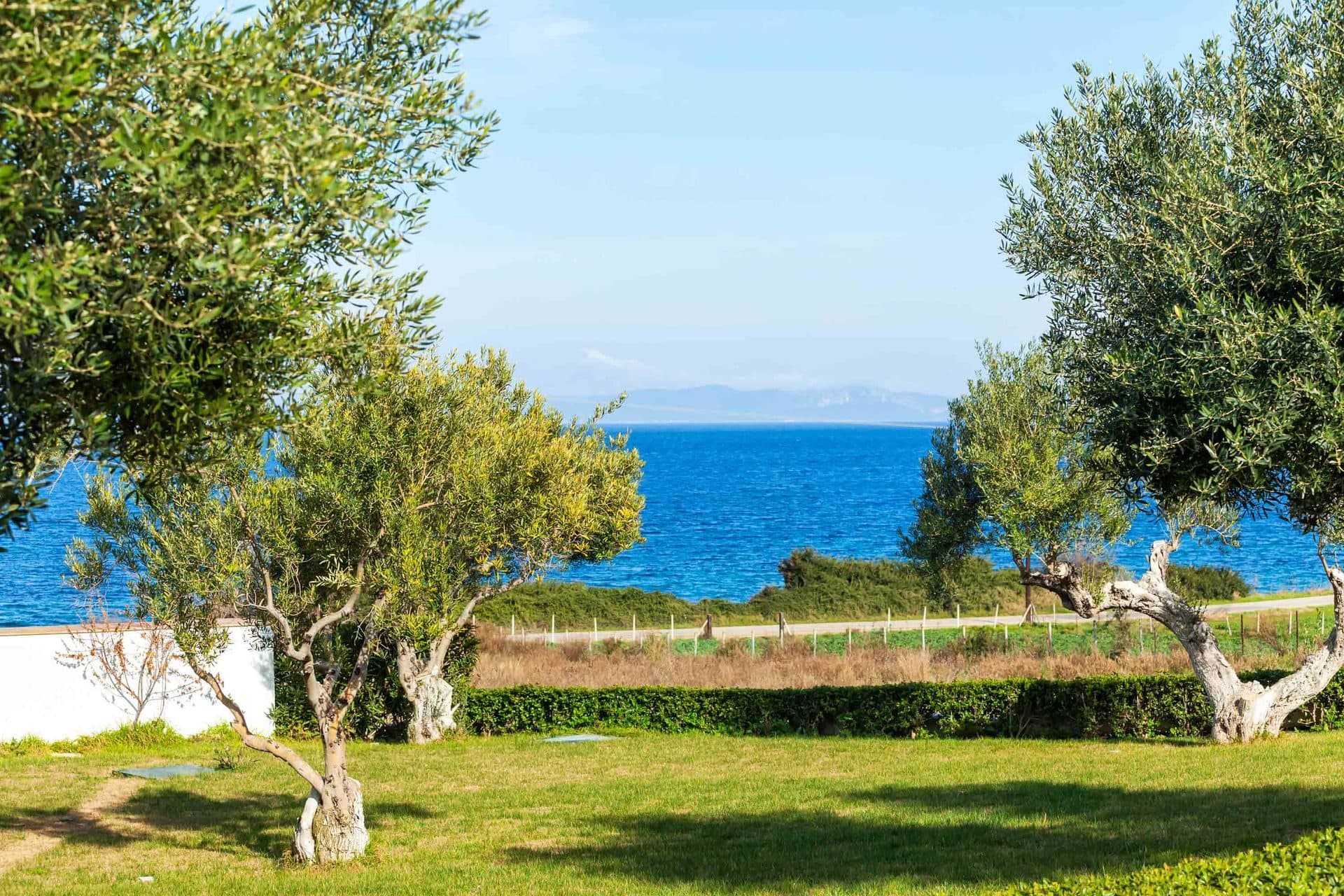 Villa D'Oro Luxury Villas & Suites, Paliouri – photo 21 of 55