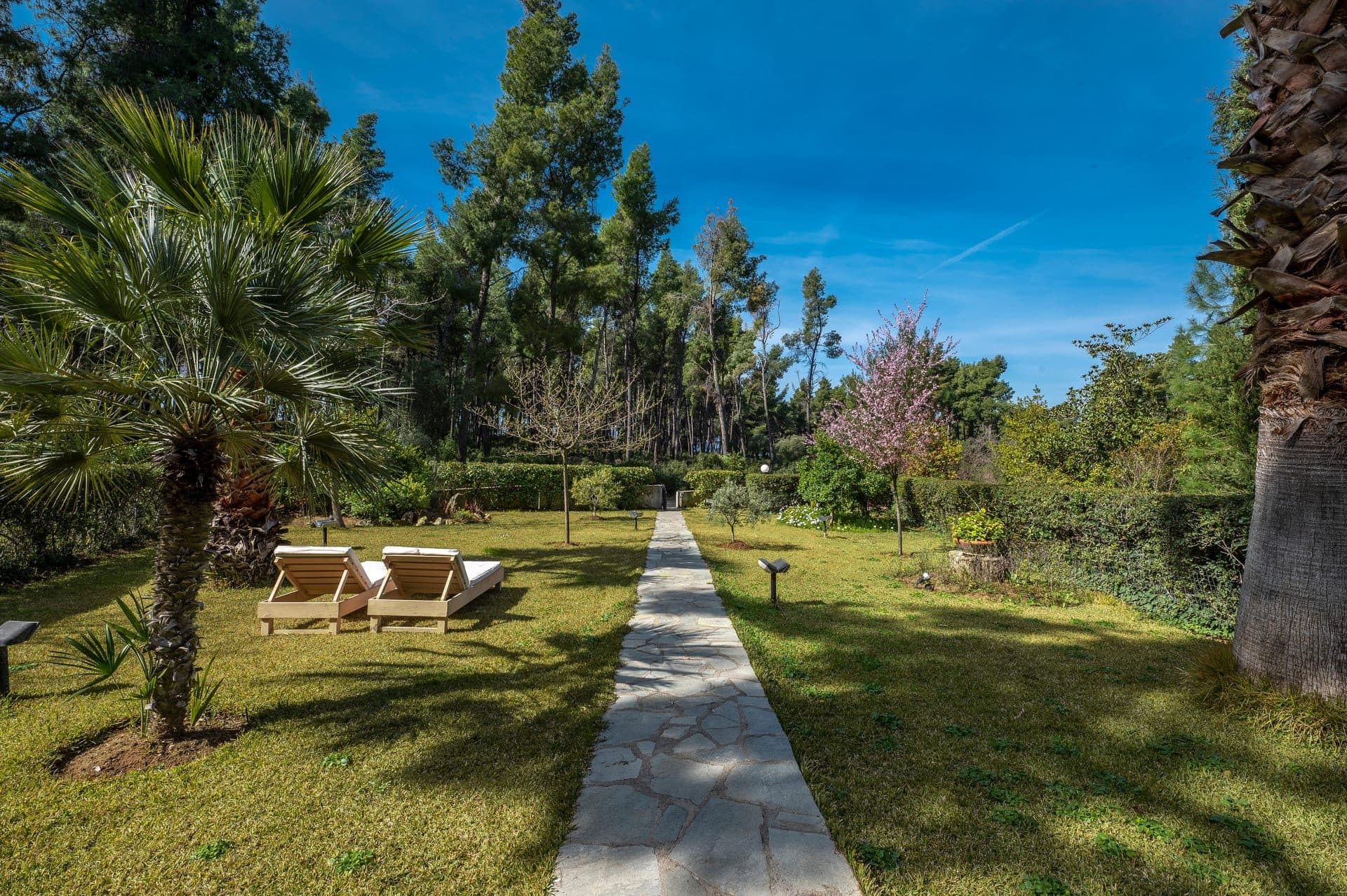 Pine Villa | Sani, Pallini – photo 6 of 33