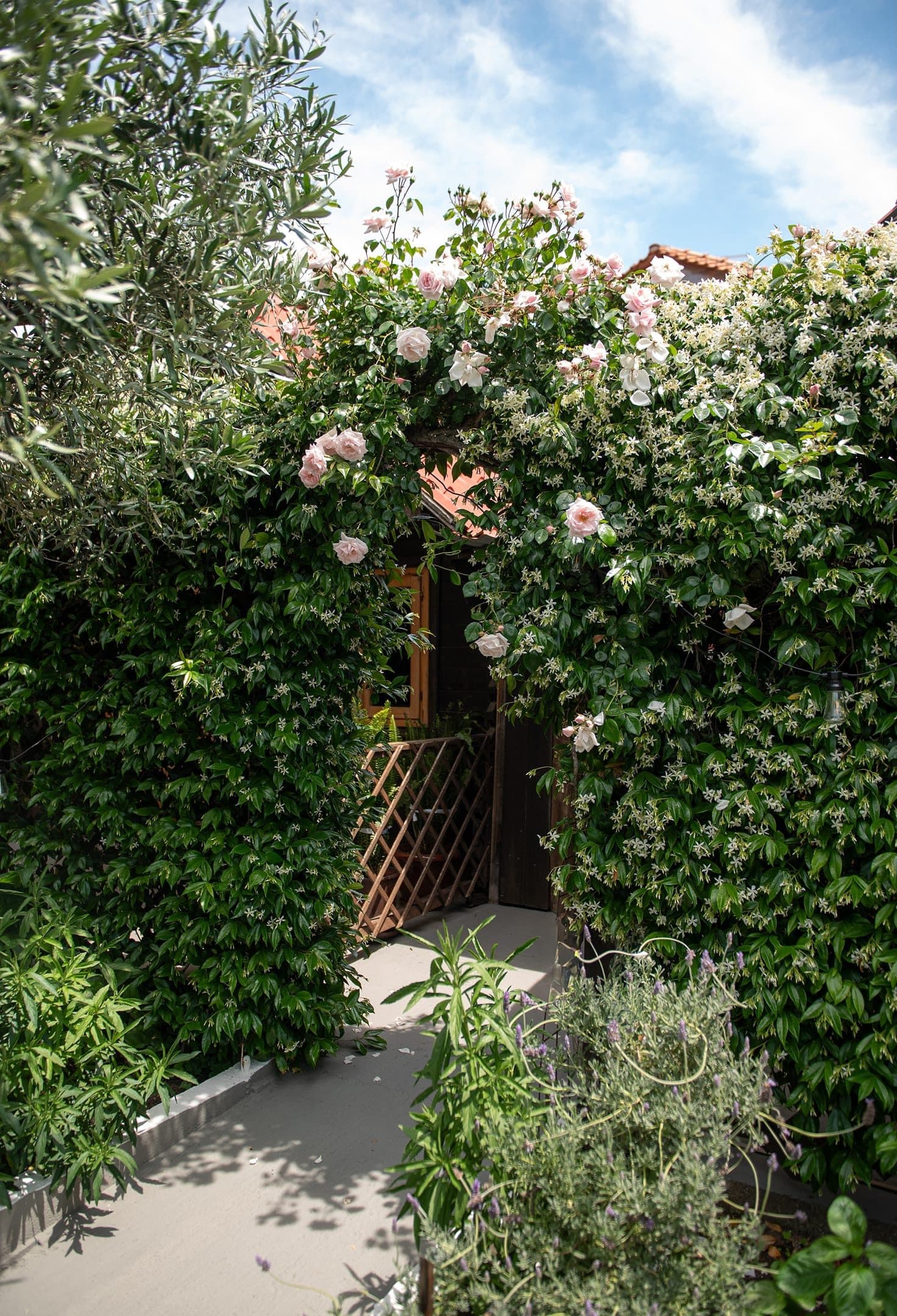 Bungalow, Sarti – photo 16 of 62