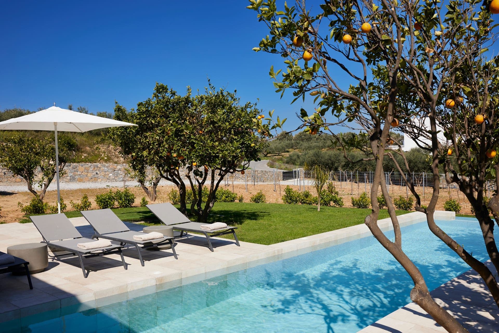 Lemon Tree Villa, Rethimno – photo 28 of 91