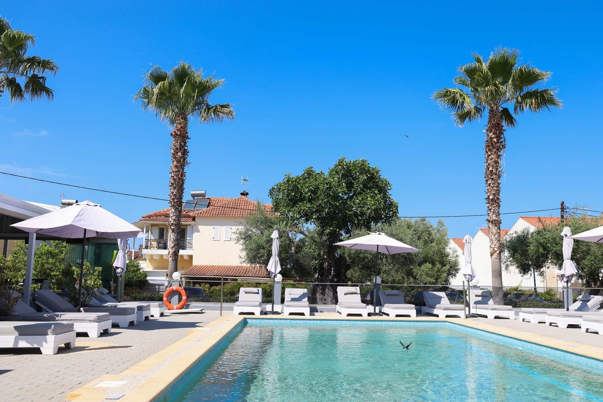 Akritas Hotel, Pefkochori – photo 21 of 29