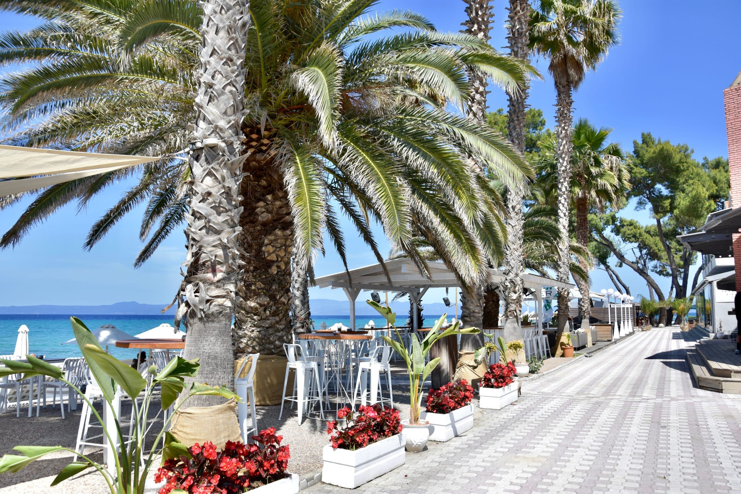 Beachfront Villa Lilia - 4