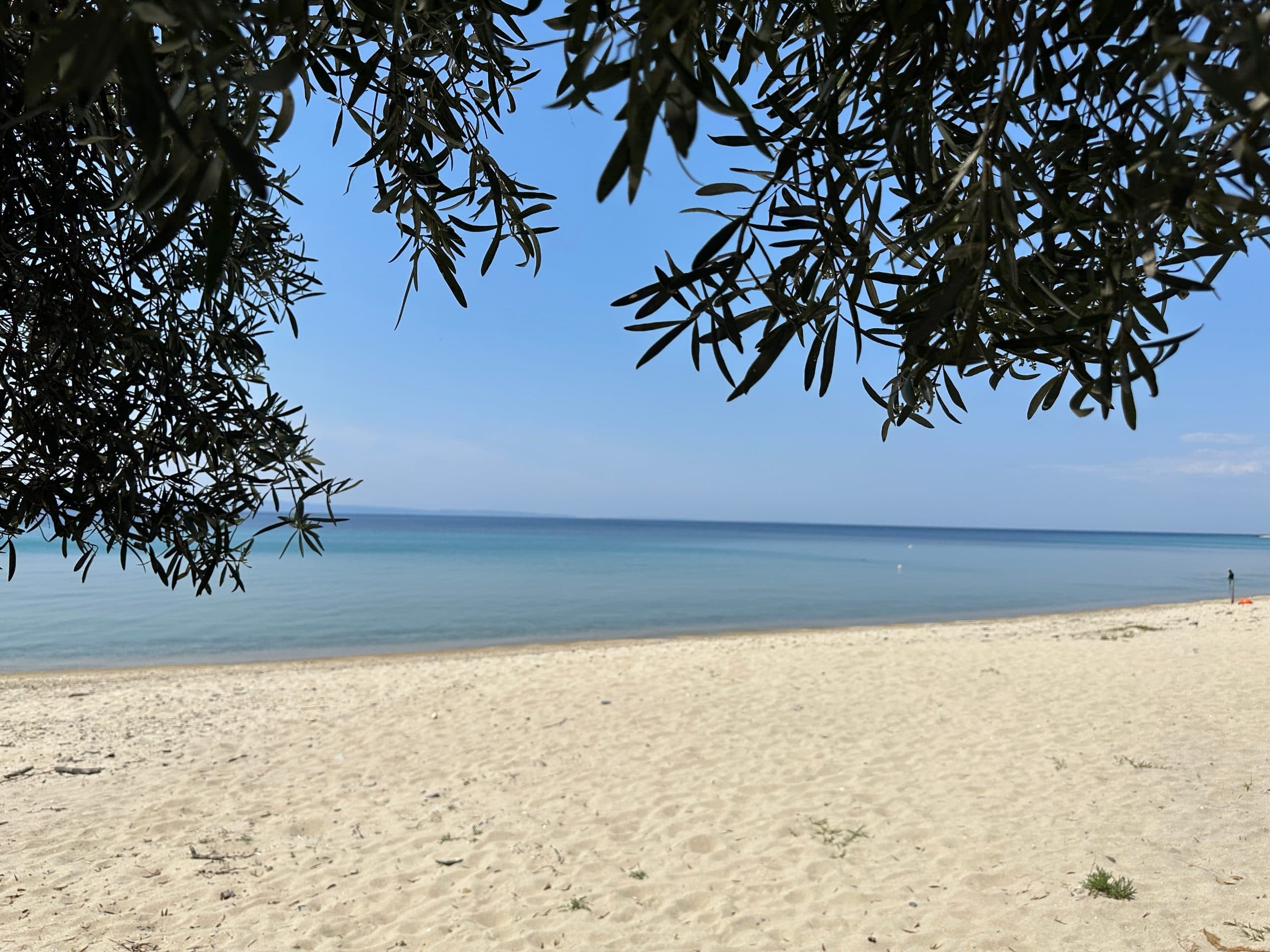 Villa Fotini - 5